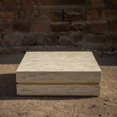 Strata Inlay Square Coffee Table - Natural Bone & Brass