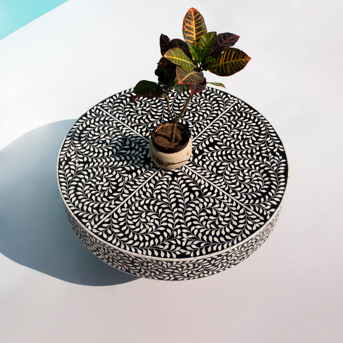 Arabesque Round Bone Inlay Coffee Table - Black